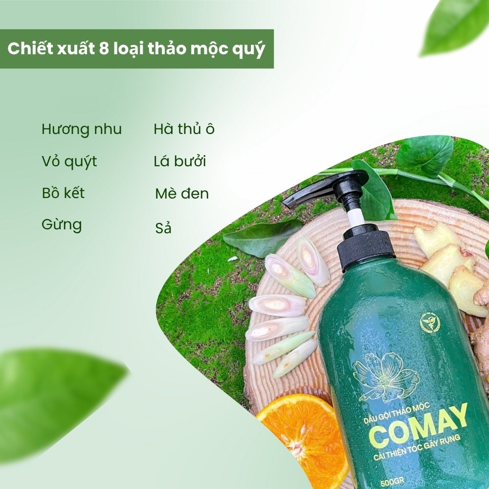 Dau Goi Thao Moc Comay 3