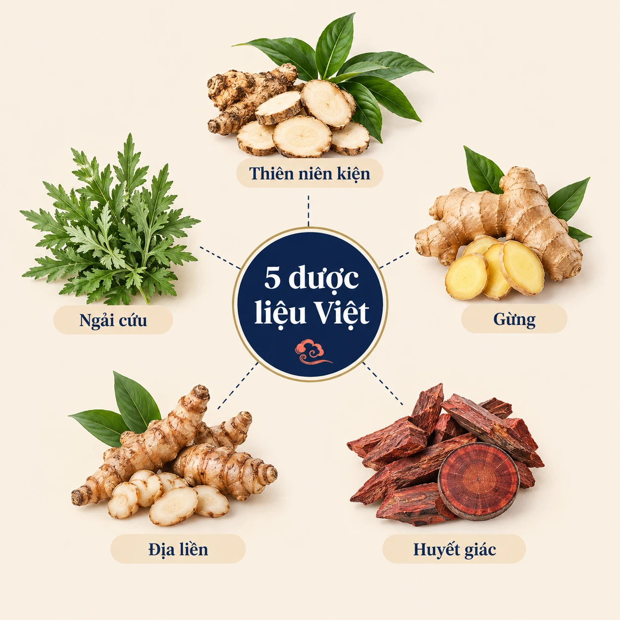 5 dược liệu trong kem cân cốt an 